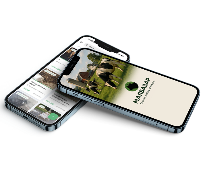 Мал Базар - Кыргызстан